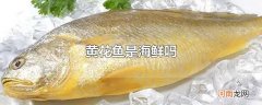 黄花鱼是海鲜吗