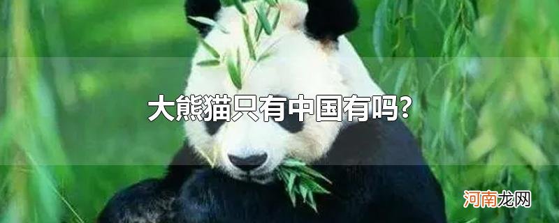 大熊猫只有中国有吗?
