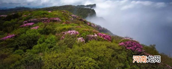 南川景点 南川景点有哪些