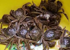 螃蟹如何保鲜存放 大闸蟹怎么存放在冰箱