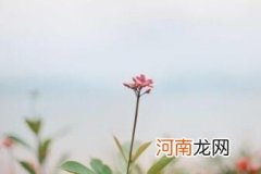 怀孕需要注意什么事项 怀孕期间注意事项大全