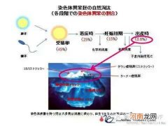 美国俄罗斯试管婴儿前的染色体筛查有多重要？