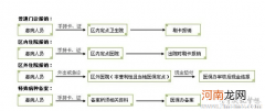 生二胎医保报销流程