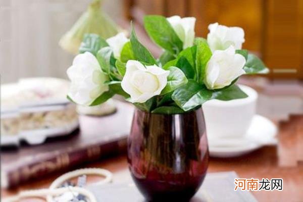 栀子花图片大全 栀子花花语及寓意