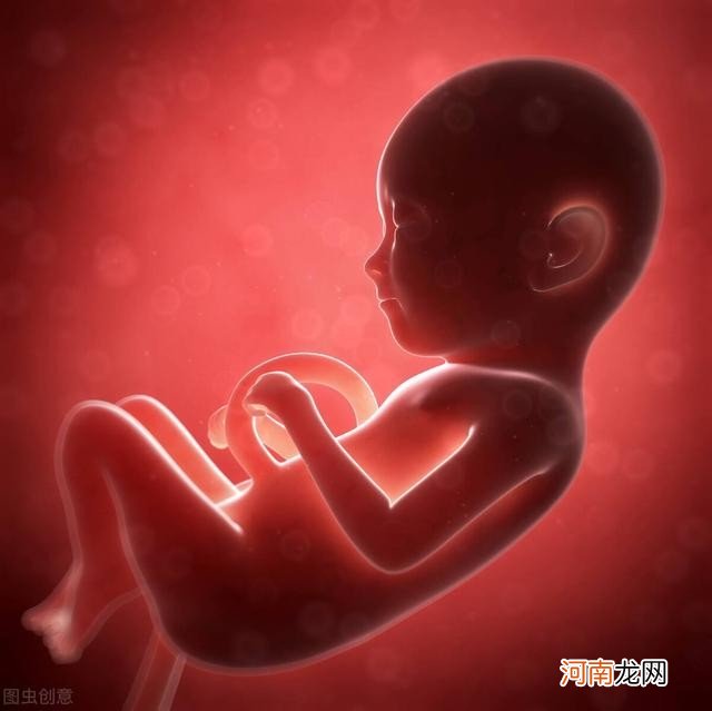 10张图读懂胎儿发育的全过程 胎儿发育过程图