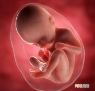 怀孕35周胎儿发育详情 怀孕35周注意事项