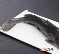 黑鱼和鮰鱼哪个更好吃？哪个更加的有营养呢？
