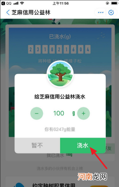 蚂蚁森林怎么换彩色树优质