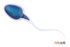 精子密度13.7会怀孕吗 精子密度低已经是普遍现象