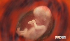 8个胎儿知识很有趣 胎儿在子宫会做什么呢