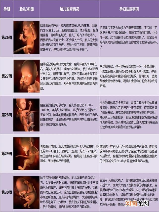 孕期胎儿发育变化图  怀孕五个月男胎儿图片