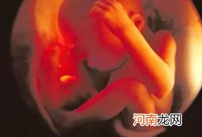 胎儿发育全过程图 胎儿发育标准对照图