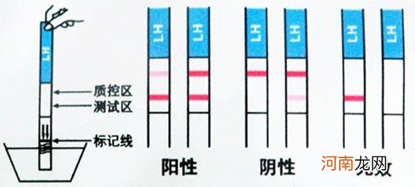 4个方法判断是否怀孕 自己在家里就能完成的验孕方法