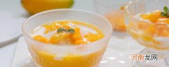 芒果冰沙的做法大全 最美味的芒果冰沙做法三则分享