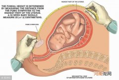 怎么样估测胎儿的体重 胎儿体重估测怎么看