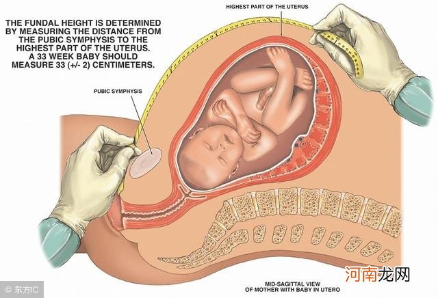 怎么样估测胎儿的体重 胎儿体重估测怎么看