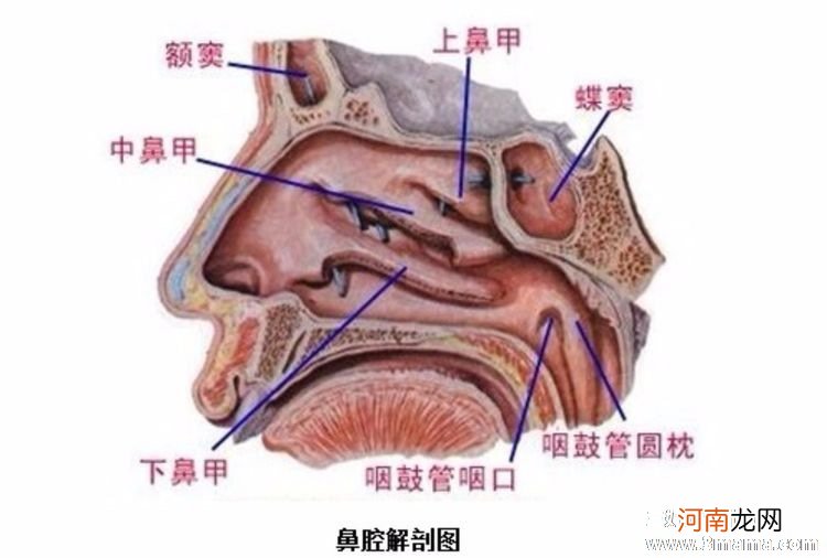 治疗过敏性疾病有哪些误区