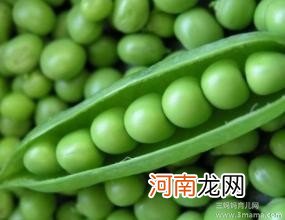 夏季养生吃哪些豆类好?