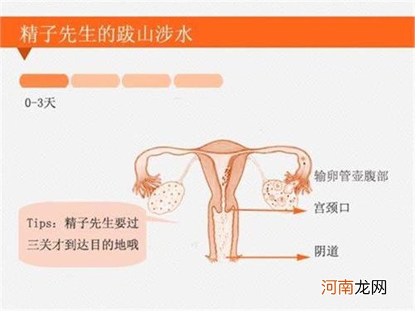 别等停经才知道怀孕 着床成功的分泌物图片参考