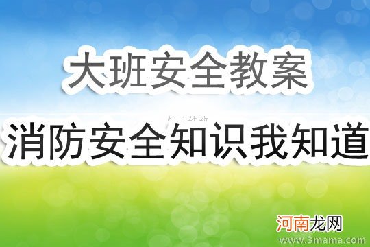 附教学反思 大班安全活动教案：防火知识教案