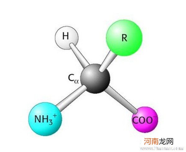 小儿如何补充氨基酸