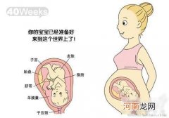 怀孕2个月胎儿发育过程图