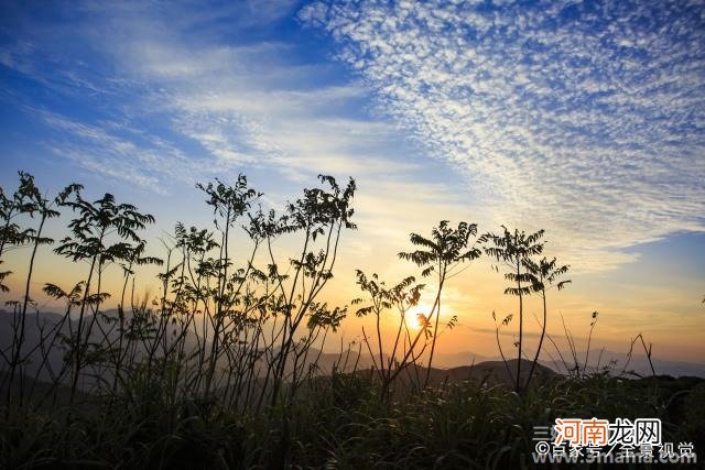 飞花轻似梦，相思情无限