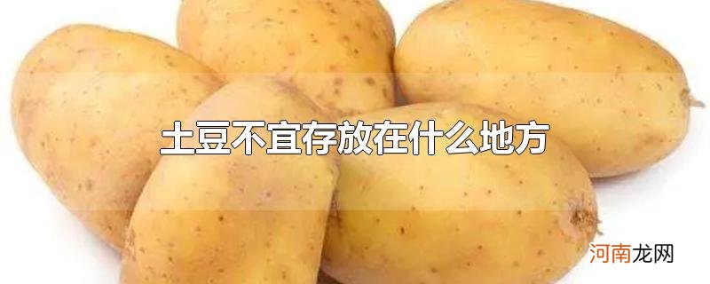 土豆不宜存放在什么地方