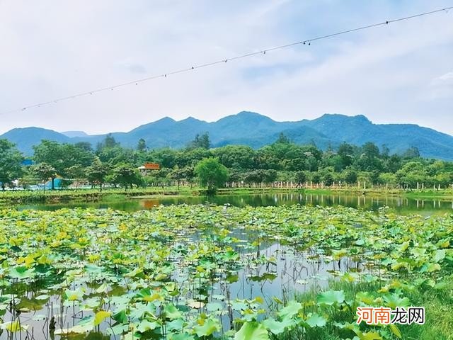 6月最佳旅行清单 最好的旅游目的地推荐