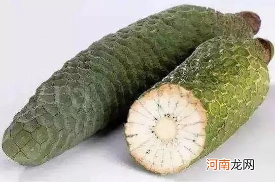 100多种罕见水果欣赏 100种水果图片