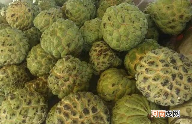 100多种罕见水果欣赏 100种水果图片