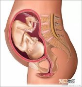 怀孕7周，如何知道是男是女？