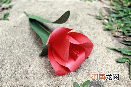 彩纸郁金香花束制作方法