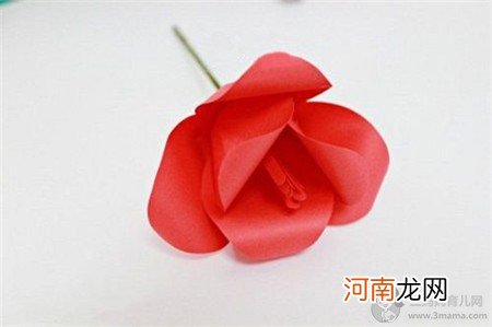 彩纸郁金香花束制作方法