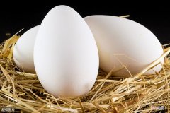 三种人不宜吃鹅蛋 为啥孕妇不建议吃鹅蛋
