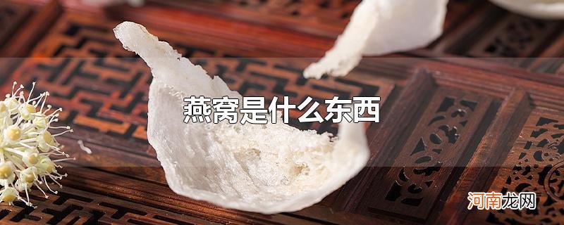 燕窝是什么东西