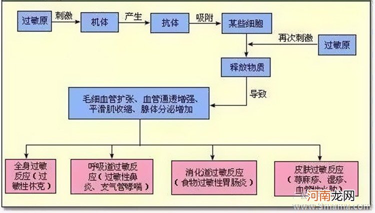 常见的过敏原是哪些呢?