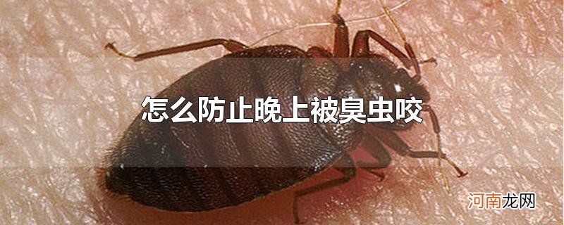 怎么防止晚上被臭虫咬