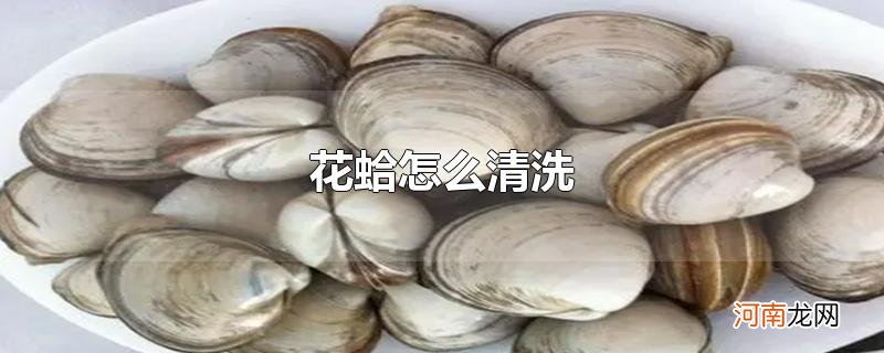 花蛤怎么清洗