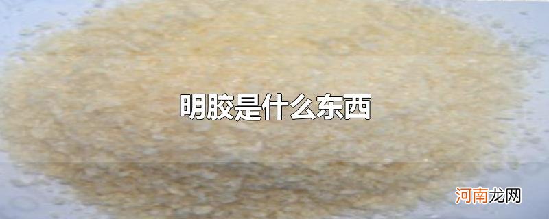 明胶是什么东西