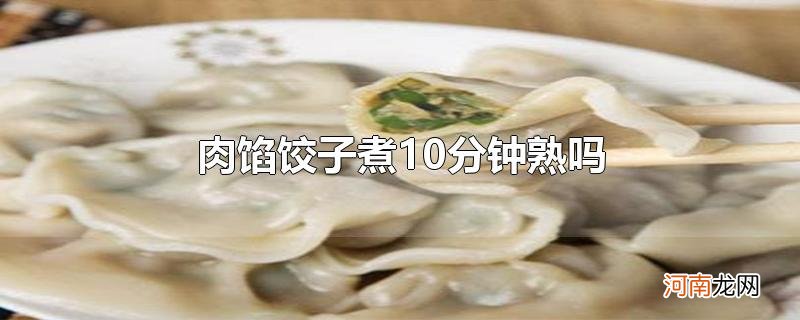 肉馅饺子煮10分钟熟吗