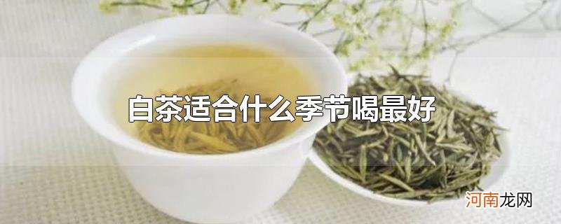 白茶适合什么季节喝最好