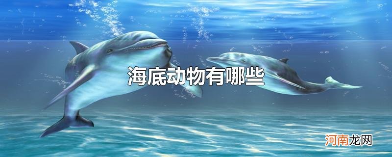 海底动物有哪些