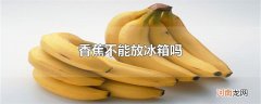 香蕉不能放冰箱吗