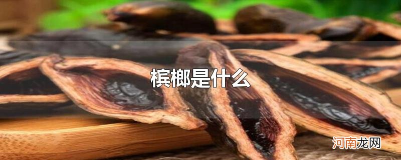 槟榔是什么