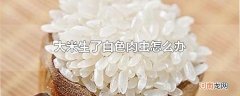 大米生了白色肉虫怎么办