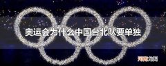 奥运会为什么中国台北队要单独