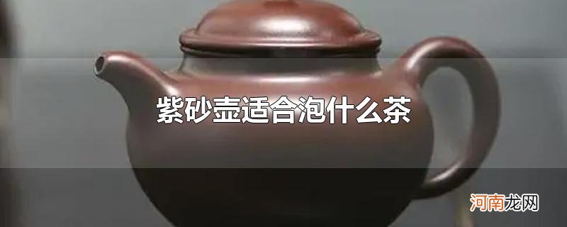 紫砂壶适合泡什么茶