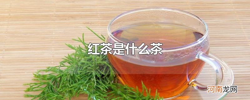 红茶是什么茶