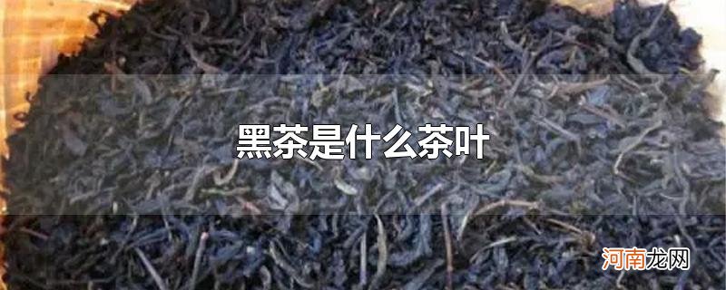 黑茶是什么茶叶